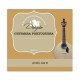 Dragão Coimbra Portuguese Guitar Inividual String 878 .038 D Bass