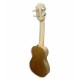Photo of the Artimúsica Cavaquinho CV13C back