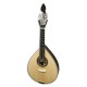Mandolin Artimúsica BD42TL Spruce Top Luxe Fan