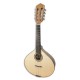 Frontal  photo of mandolin guitarrinha Artimúsica BD41GC