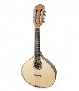 Mandolin Guitarrinha Artimúsica BD41GC Half Luxe Standard Machine Head