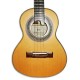 Photo of the Artmúsica Brazilian Cavaquinho CV52C top and rosette