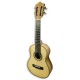 Photo of the Cavaquinho Cabo Verde Artimúsica CV60S