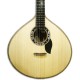 Photo of the portuguese guitar Artimúsica GP71L top