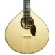 Photo of the Coimbra portuguese guitar GP73C top
