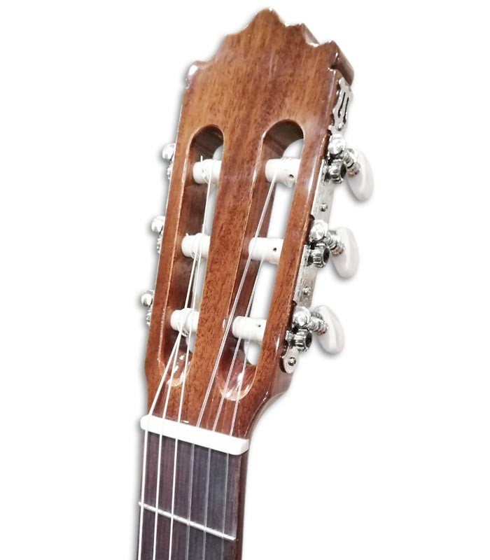 Head of classical guitar Paco Castillo 201