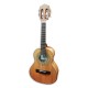 Photo of the Artimúsica Cavaquinho Brazilian CV50C