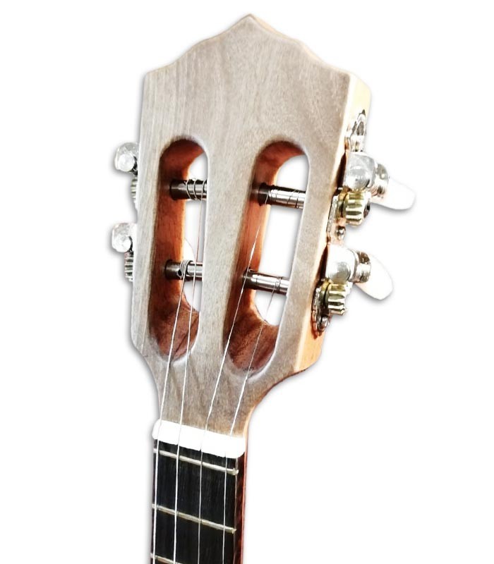 Photo of the Artimúsica Cavaquinho Brazilian CV50C head