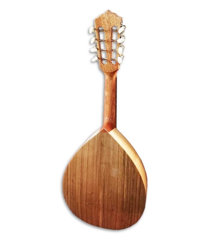 Photo of the Artimúsica mandolin BD40TC back