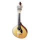 Photo of the Artimúsica Portuguese Guitar GP70LCAD