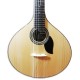 Photo of the Artimúsica Portuguese Guitar GP70LCAD top