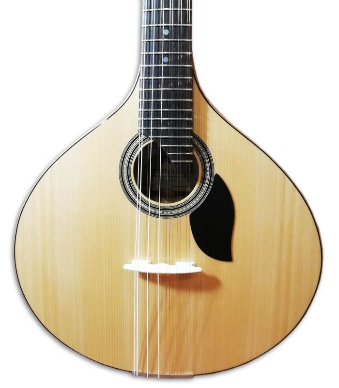 Photo of the Artimúsica Portuguese Guitar GP70LCAD top