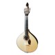 Photo of the Artimúsica Coimbra Portuguese guitar GP72C