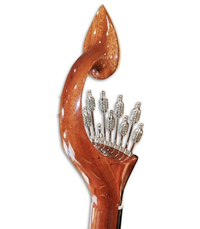 Photo of the Artimúsica Coimbra Portuguese guitar GP72C head