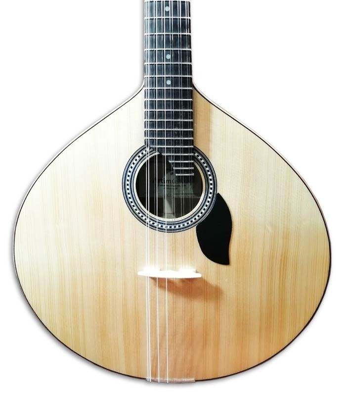 Photo of the Artimúsica Portuguese Guitar GP70L top