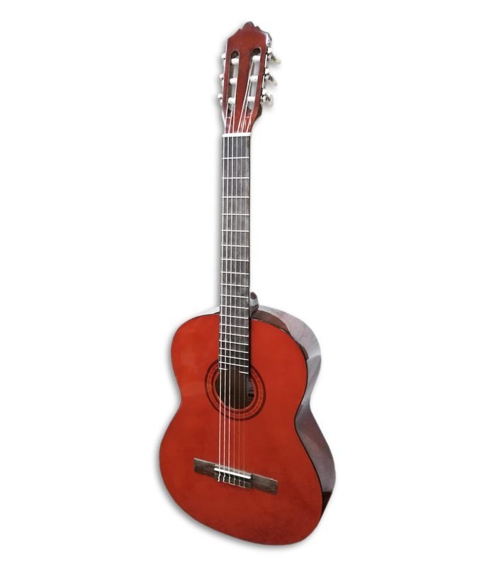 Photo of the Classical Guitar Ashton SPCG-44AM