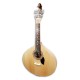 Photo of the Portuguese Guitar Artimúsica GPBASEL Lisbon Model