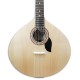 Photo of the Portuguese Guitar Artimúsica GPBASEL Lisbon Model top