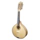 Photo of mandolin guitarrinha Artimúsica BD40GC