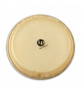 Photo of head LPA265A for 11"  quinto