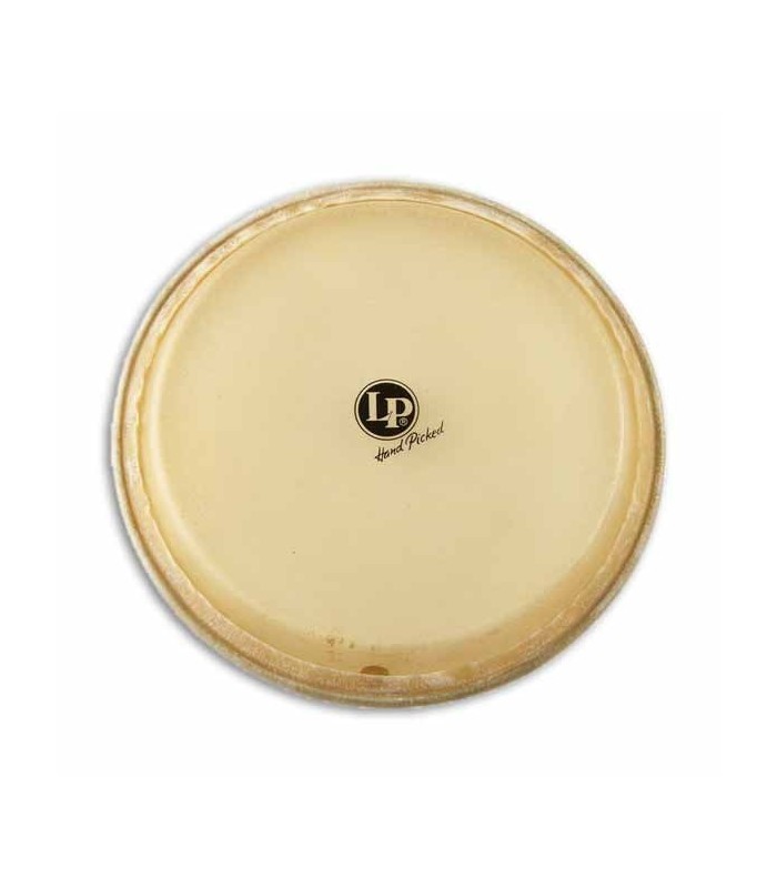 LP Quinto Head LPA265A 11