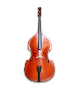 Double Bass Kreutzer Solid Top School 1/2 Bow and Bag