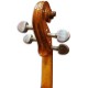 Pegs of viola Stentor Student I 14" with case