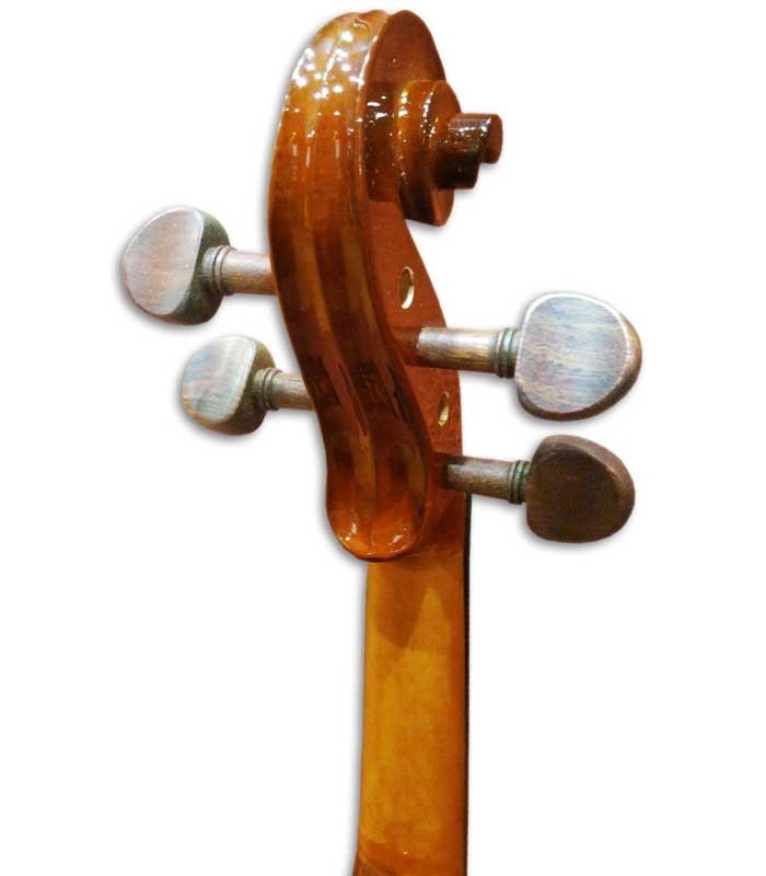 Pegs of viola Stentor Student I 14" with case