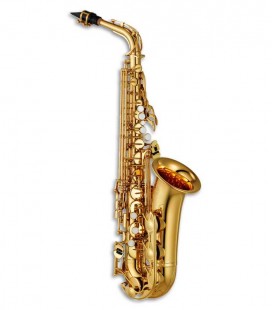 Photo of the Alto Saxophone Yamaha YAS-280 Standard Golden