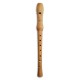 Photo of the Soprano Recorder Hohner 9560