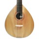 Photo of the Mandolin Artimúsica BDBASET Tradicional Base top