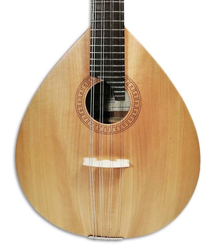 Photo of the Mandolin Artimúsica BDBASET Tradicional Base top
