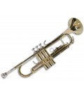 Photo of trumpet Sullivan TT100