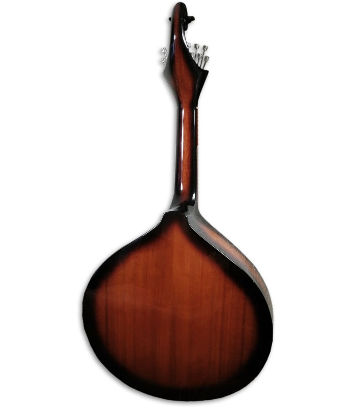 Fan and volute of Portuguese guitar Artimúsica GPSBL Sunburst