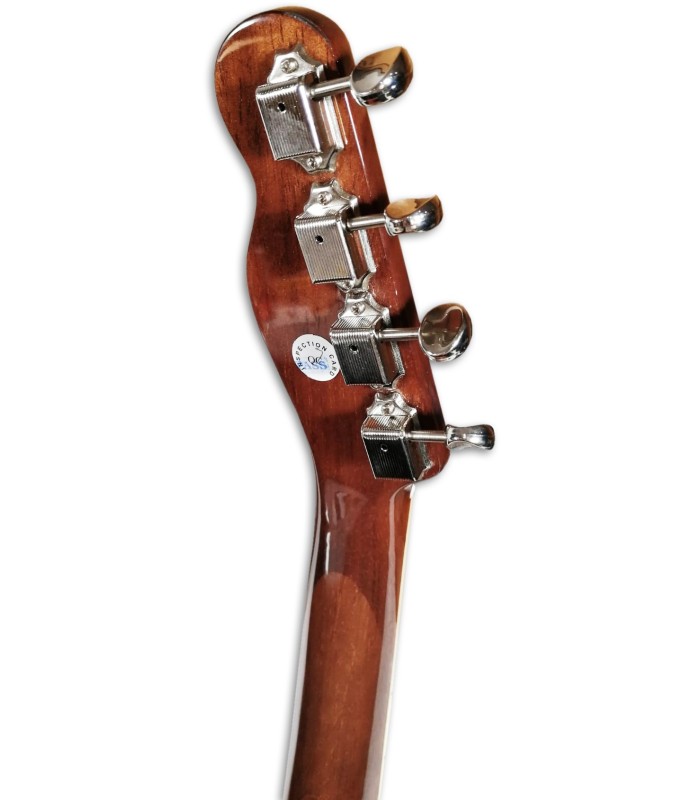 ギター lovelymusic Ibanez Ltd. Ed. Gary Willis Signature GWB20TH Fretless Bass