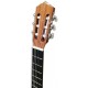 Photo of the Classical Guitar Artimúsica GC01C head