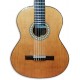 Photo of the Classical Guitar Artimúsica GC01C top