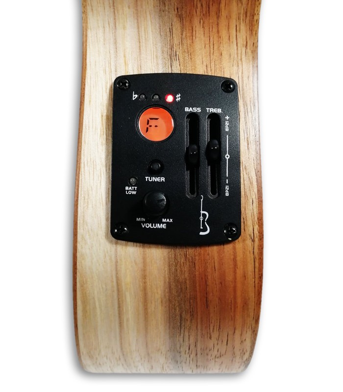 APC CS Simples with Preamp Ukuleles Salão Musical