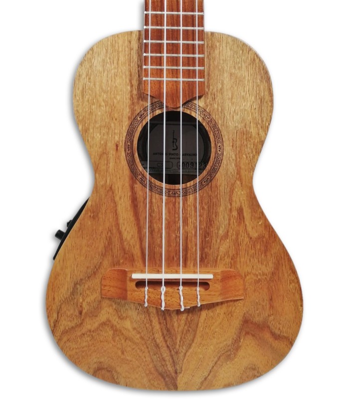 Photo of the Ukulele Concerto APC CS Simples with Preamp top