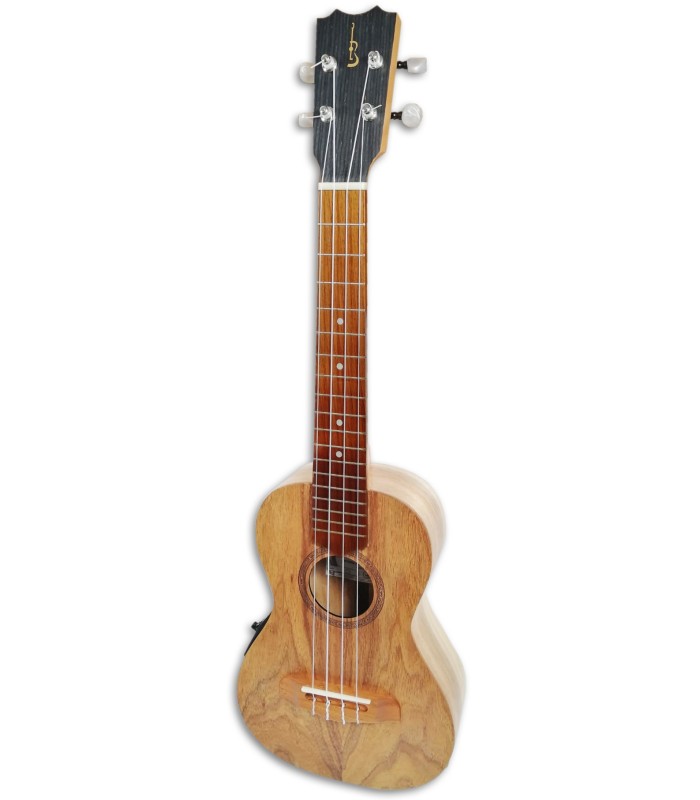 Photo of the Ukulele Concerto APC CS Simples with Preamp