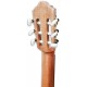 Photo of the APC Classical Guitar 3C machine head