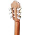 Photo of the APC Classical Guitar 3C machine head