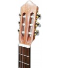 Photo of the APC Classical Guitar 3C head