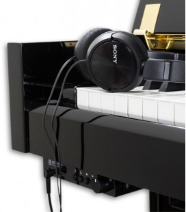 Photo of System Adsilent for upright piano