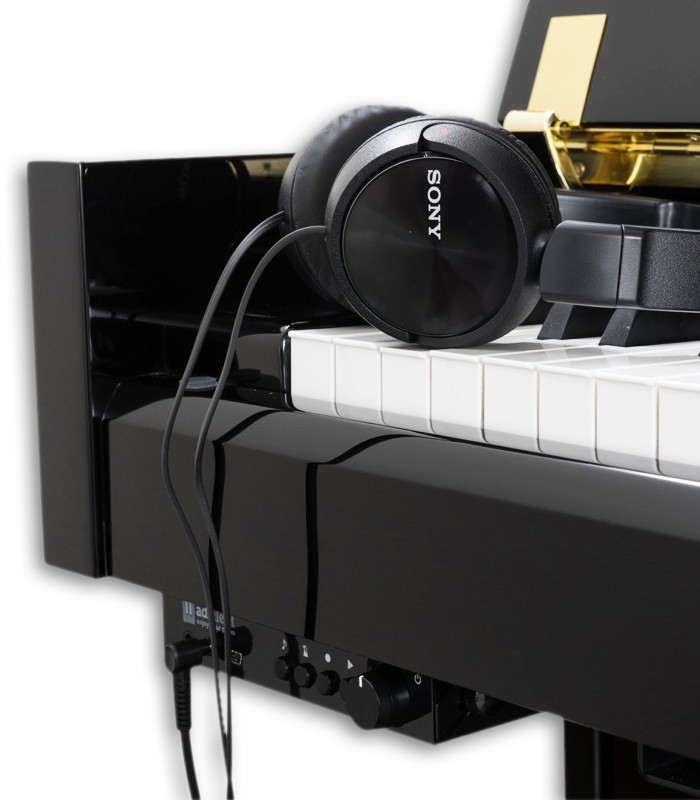 Photo of System Adsilent for upright piano