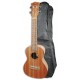 Photo of the Ukulele Maori WK 1C Concert with Bag