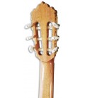 Photo of the Alhambra Classical Guitar 5P CW E8 machine heads