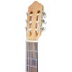 Photo of the Classical Guitar APC 1C CW head