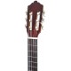 Photo of the Classical Guitar Ashton model SPCG-34AM head