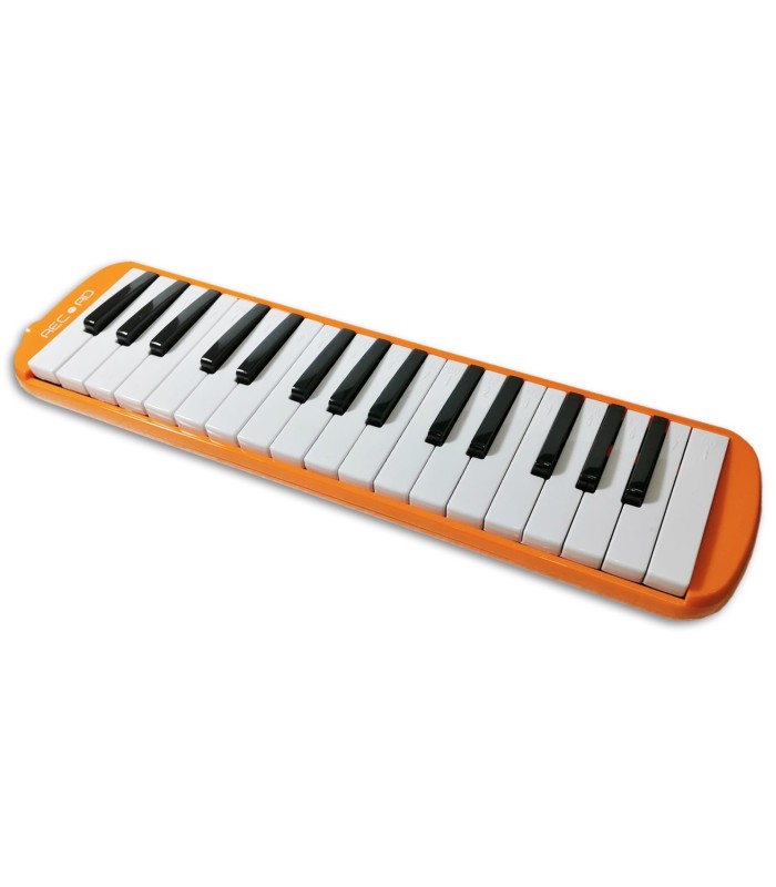 Photo of the Melodica Record model M 37OR
